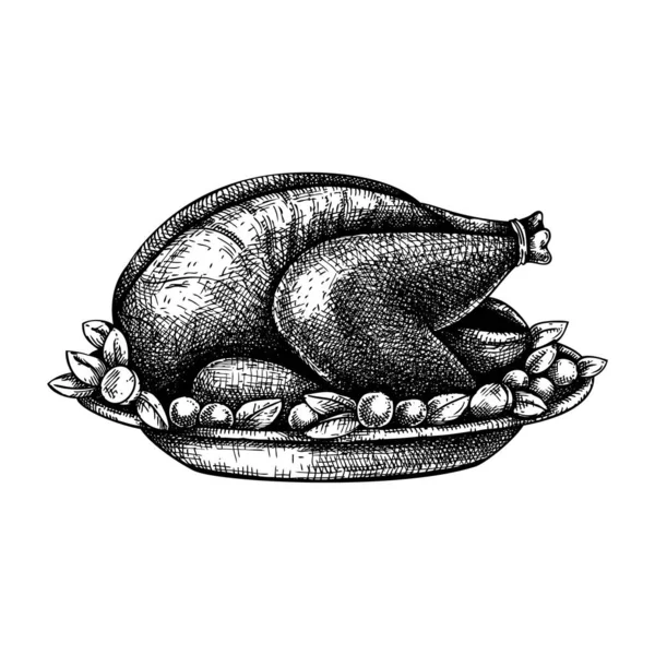 Handgezeichnete Illustrationen Von Thanksgiving Truthahn Putenbraten Mit Babykartoffeln Und Kräuterskizzen — Stockvektor