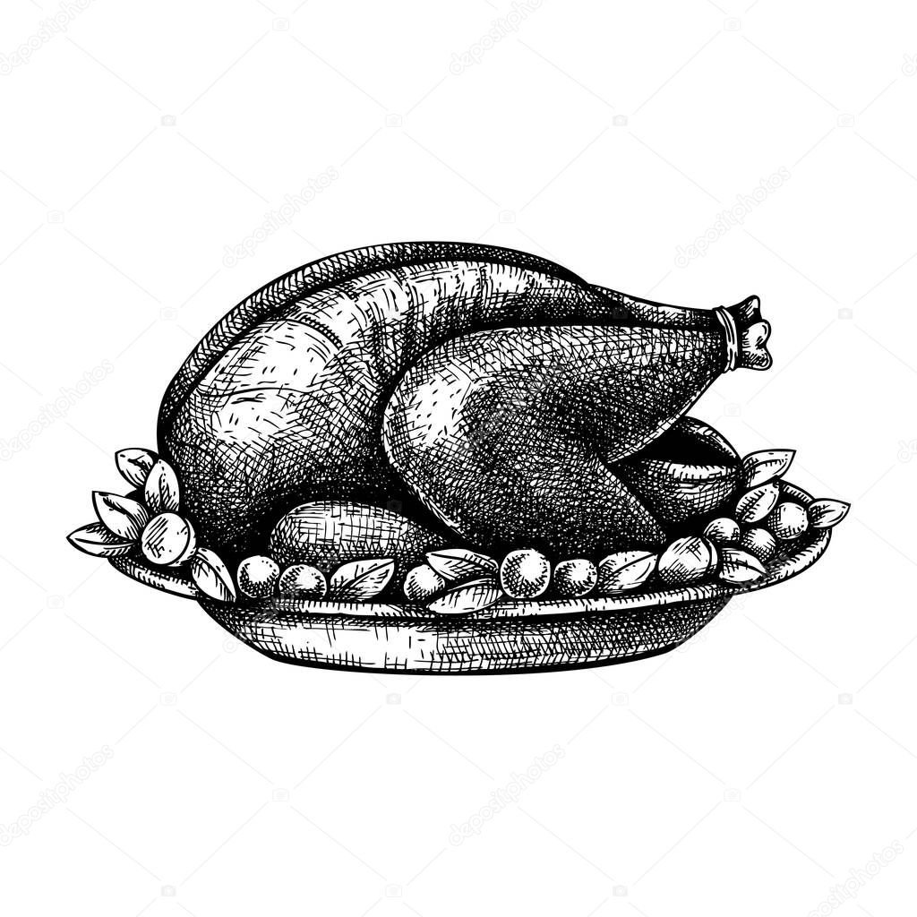 Hand drawn Thanksgiving turkey  illustrations. Roasted turkey with baby potatoes and herbs sketches. Traditional american meat dishes for Thanksgiving family dinner. Vector menu design element.