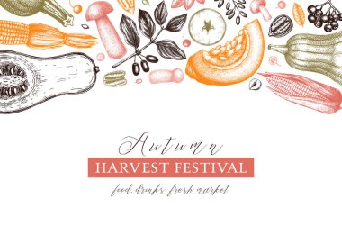 Şükran Günü vektör tasarımı. Sonbahar hasat festivali eskimiş geçmişi. Sonbahar sezonu arkaplanı, el yapımı böğürtlen, meyve, sebze, mantar resimli. Geleneksel sonbahar yemekleri ve botanik elementler 