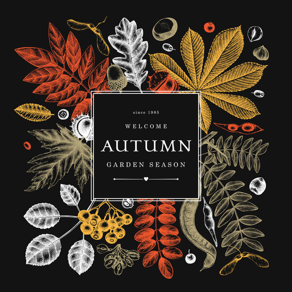 Ручной рисунок осенних листьев в цвете на доске. Элегантный ботанический шаблон с осенними листьями, ягодами, семенами. Перфект для приглашения, открыток, листовок, меню, этикетки, упаковки. 