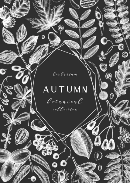 手绘秋叶设计在黑板上 成熟的植物模板 秋天的叶子 种子草图 完美的请柬 — 图库矢量图片