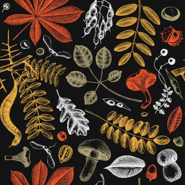 秋天留下无缝图案 用手工素描的森林植物 蘑菇插图 完美的邀请 纺织品 优雅的秋天背景 — 图库矢量图片