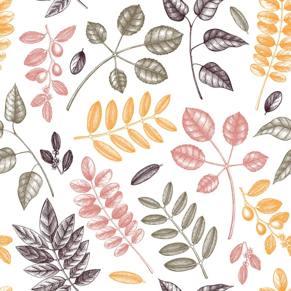 秋天留下无缝图案 用手绘的森林植物草图和树叶图解 完美的邀请 纺织品 优雅的秋天背景 — 图库矢量图片