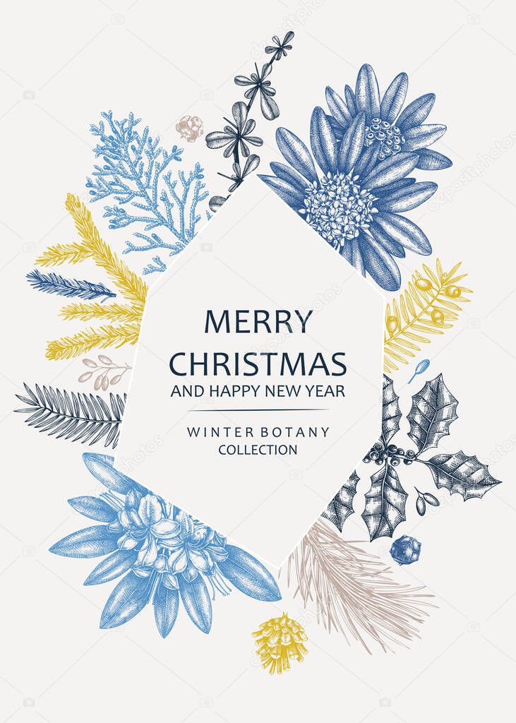 Christmas greeting card or invitation design in color. Vector frame with hand drawn winter flowers, conifers and evergreen plants. Vintage botanical background. Christmas template.  