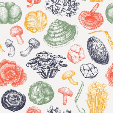 Medicinal mushroom seamless pattern design. Alternative medicine background. Hand drawn vector illustration. Healing fungi sketches. NOT AI generated Vector illustration.