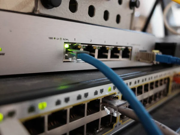 Cables de red Ethernet conectados al servidor del centro de datos — Foto de Stock