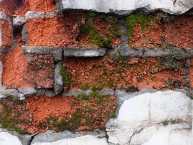 Erozyon yosunlu kırmızı tuğla duvar sıva kalıntıları ile çürüyen