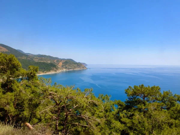 Akdeniz'de güzel pitoresk koy, güneşli öğleden sonra kayalık yamaçlarda açık gökyüzü ve çam ağaçları — Stok fotoğraf