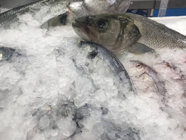 Soğuk Gilt-Head deniz breams SPARUS aurata ve deniz bas piyasa sayacı