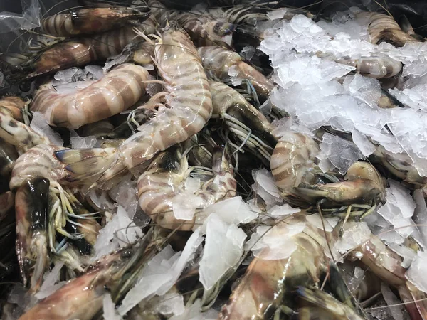 Camarões tigre gelados no balcão do mercado — Fotografia de Stock