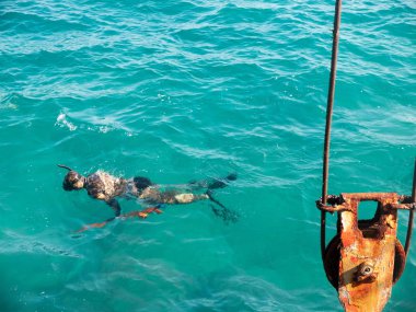 Sualtı silahı, maske ve şnorkel ile Dalgıç balık arıyor yüzer. Sualtı avcılığı, dalış, şnorkelli yüzme