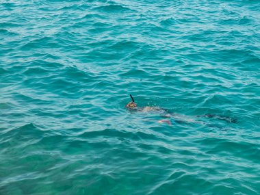 Sualtı silahı, maske ve şnorkel ile Dalgıç balık arıyor yüzer. Sualtı avcılığı, dalış, şnorkelli yüzme