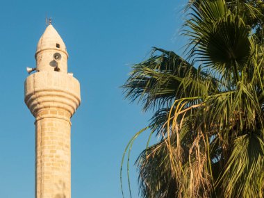 Akşam mavi gökyüzü ve palmiye ağacının karşısında cami minaresi