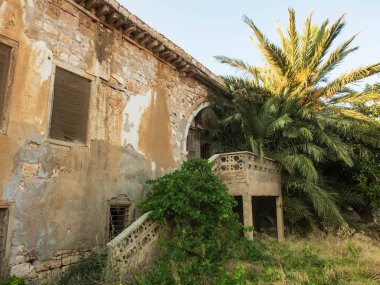 Eski terk edilmiş taş iki katlı konak çalılar ve palmiye ağaçları ile büyümüş