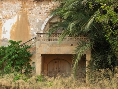 Eski terk edilmiş taş iki katlı konak çalılar ve palmiye ağaçları ile büyümüş