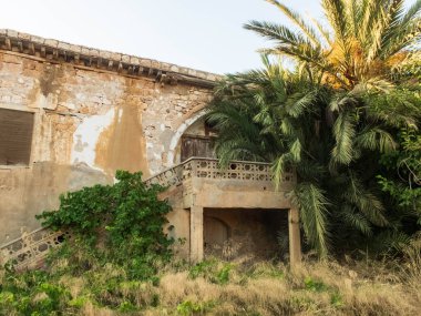Eski terk edilmiş taş iki katlı konak çalılar ve palmiye ağaçları ile büyümüş