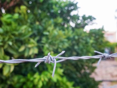 Meyve bahçesi etrafında dikenli tel çit. Yasak alan, izinsiz girme