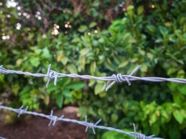 Meyve bahçesi etrafında dikenli tel çit. Yasak alan, izinsiz girme