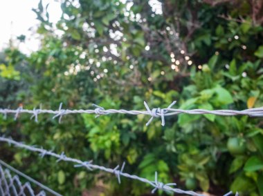Meyve bahçesi etrafında dikenli tel çit. Yasak alan, izinsiz girme