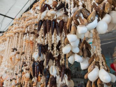 Farklı şekil ve renk deniz kabukları yapılmış geleneksel renkli ev süslemeleri.