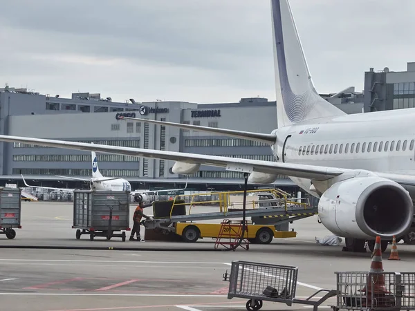 El empleado del aeropuerto carga el equipaje de los pasajeros en el compartimiento de equipaje de la aeronave. Aeropuerto de Vnukovo, Moscú - Mayo 2019 — Foto de Stock