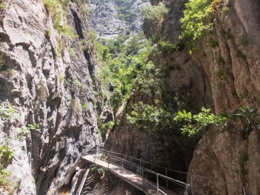Sapadere Kanyonu 'ndaki tahta köprü, Alanya, Antalya, Türkiye.