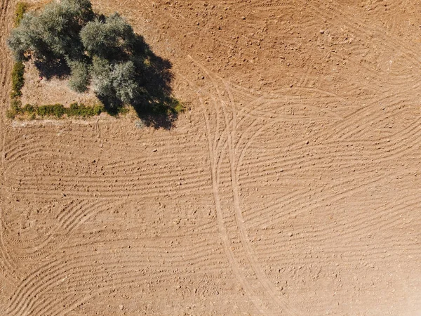 Rastros Maquinaria Agrícola Campo Vista Aérea — Foto de Stock