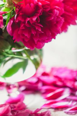 Peonies masanın üzerinde. Kısa bacaklar parlak kırmızı çiçekler şeffaf bir vazo içinde standı. Masanın üstüne düşmüş zavallı petal yalan