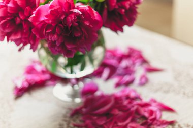 Peonies masanın üzerinde. Kısa bacaklar parlak kırmızı çiçekler şeffaf bir vazo içinde standı. Masanın üstüne düşmüş zavallı petal yalan