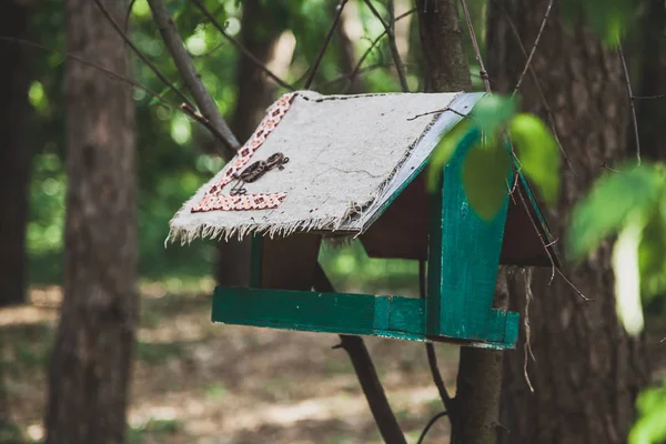 自制木制鸟饲养者绿色重在森林的树在夏天 — 图库照片