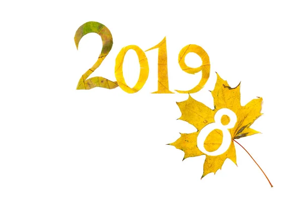 Изменение Количества Года 2019 Год Выстроен Красивых Желтых Кленовых Листьев — стоковое фото