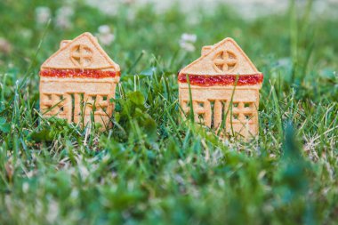 inanılmaz şirin bir evi. Küçük bir ev şeklinde iki tanımlama bilgileri üzerinde yeşil bir meado standı