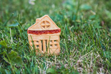 inanılmaz şirin bir evi. Bir cookie küçük bir ev şeklinde üzerinde yeşil bir meado standları