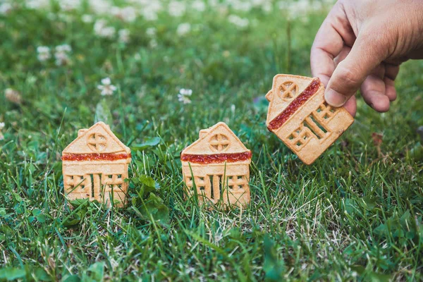 fabulous sweet house. Three cookies in the form of a house stand on a green meadow close-up. The hand of man puts one hous