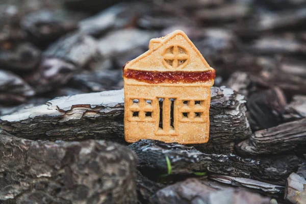 fabulous sweet house. The cookie in the form of a house stands on large pieces of bark of a tre
