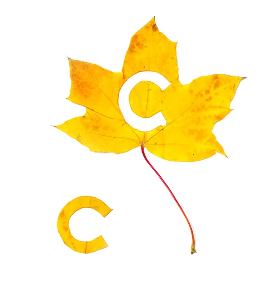 Herbstbriefe Der Buchstabe Ist Aus Einem Schönen Gelben Ahornblatt Auf — Stockfoto