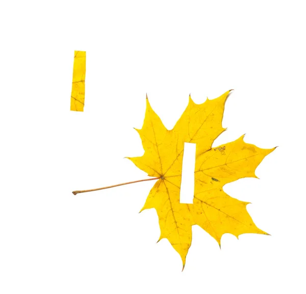Herbstbriefe Der Buchstabe Ist Aus Einem Schönen Gelben Ahornblatt Auf — Stockfoto