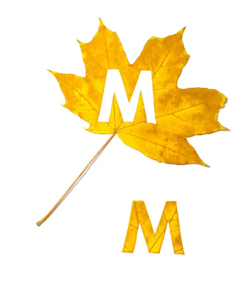 秋天的信件 是从一个美丽的黄色枫叶在白色背景雕刻 在工作表上 信函的字母模式 — 图库照片