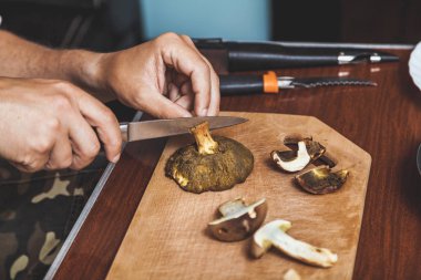 Toplanan mantarların incelenmesi. Tahta bir yaban domuzunun üstünde yenebilir mantar kesen bir adamın elleri.