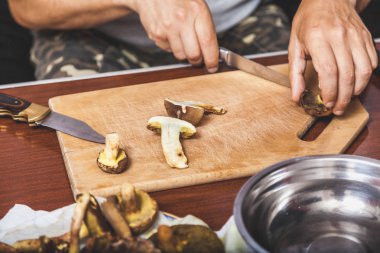 Toplanan mantarların incelenmesi. Tahta bir yaban domuzunun üstünde yenebilir mantar kesen bir adamın elleri.
