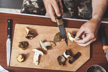 Toplanan mantarların incelenmesi. Tahta bir yaban domuzunun üstünde yenebilir mantar kesen bir adamın elleri.