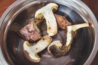 Toplanan mantar işlenmesi. Adamın elleri bir ahşap tahta üzerine taze yenilebilir mantar kesti. Abov görüntülemek