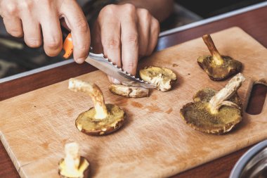 Toplanan mantarların incelenmesi. Tahta bir yaban domuzunun üstünde yenebilir mantar kesen bir adamın elleri.