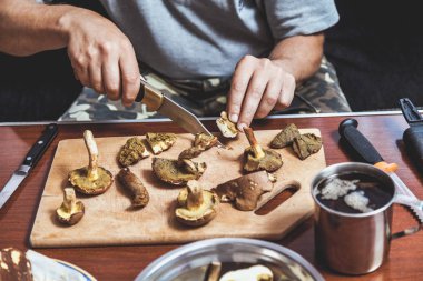 Toplanan mantarların incelenmesi. Tahta bir yaban domuzunun üstünde yenebilir mantar kesen bir adamın elleri.