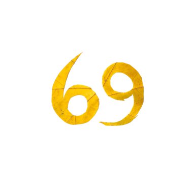 Sonbahar resimler. 69 numara güzel sarı akçaağaç yaprakları ile kaplı olduğu. Beyaz arka plan üzerinde izole