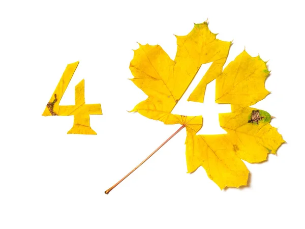 Cijfers Van Het Najaar Cijfer Gesneden Uit Een Mooie Gele — Stockfoto