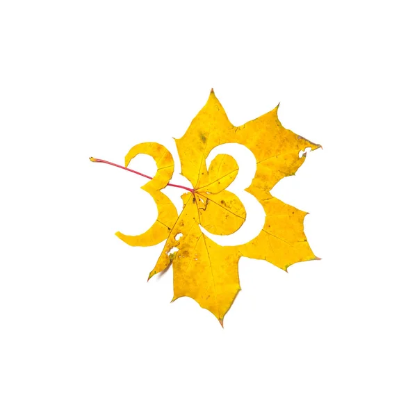 秋天的数字 数字3是从一个美丽的黄色枫叶在白色背景雕刻 在工作表上 信函的字母模式 — 图库照片