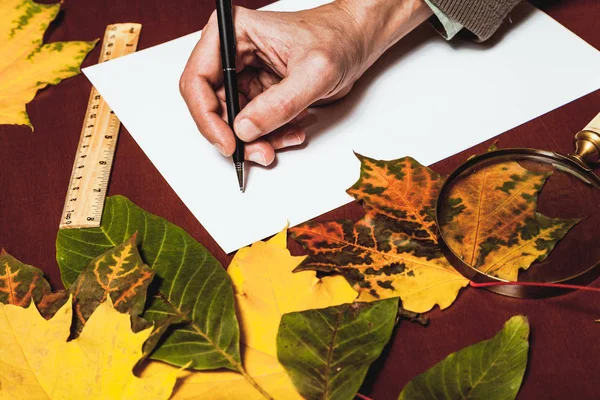 hand holds a pen over a sheet of white paper on a brown table. Nearby lie a large magnifying glass and ruler. Around are beautiful beautiful fallen leaves of tree