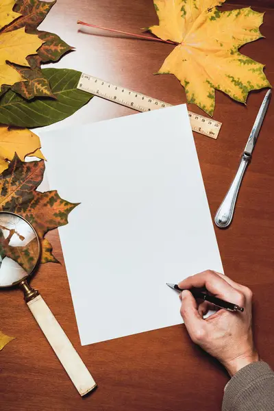 Firma Otoño Mano Firma Los Papeles Mesa Marrón — Foto de Stock