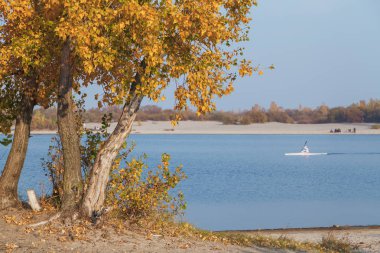 Sonbahar manzara. Sarı yaprakları ile üç ağaçlar göl kıyısında büyümek. Bir adam bir kayık üzerinde su üzerinde yüzen